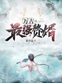 小说：万古最强赘婿，作者：徐小逗