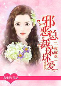 小说：一夜成欢：邪恶总裁坏坏爱，作者：布小洁