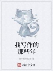 小说：我写作的那些年，作者：流年似水似梦