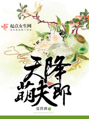 小说：天降萌夫郎，作者：夏将离