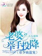 小说：帝少霸道宠：老婆，举手投降，作者：石头很疼