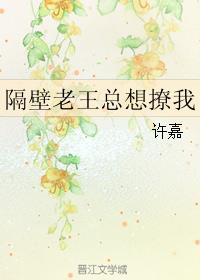 小说：隔壁老王总想撩我，作者：许嘉