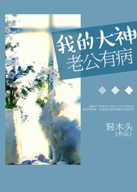 小说：我的大神老公有病，作者：轻木头
