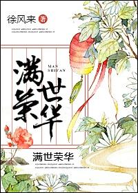 小说：满世荣华，作者：徐风来