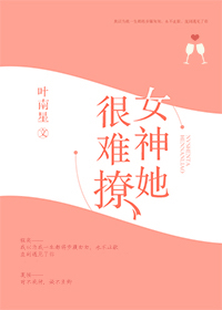 小说：女神她很难撩，作者：叶南星
