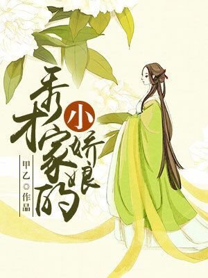 小说：秀才家的小娇娘，作者：甲乙