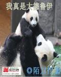 小说：我真是大德鲁伊，作者：陌刀行