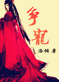 小说：争宠（GL），作者：洛倾
