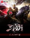 小说：三国征服者，作者：白衣天子