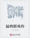 小说：猛将群英传，作者：江州过客