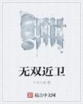 小说：无双近卫，作者：卡夫卡洛