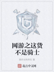 小说：网游之这货不是骑士，作者：我的长枪依在