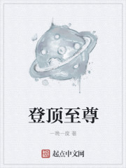 小说：登顶至尊，作者：一晚一度