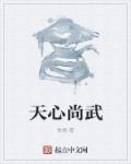小说：天心尚武，作者：侠昙