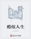 小说：酷炫人生，作者：术小城
