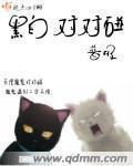 小说：黑白对对碰，作者：普极