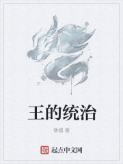 小说：王的统治，作者：修缮