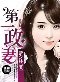 小说：第一政妻，作者：梦夕林