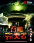 小说：吞噬完美者，作者：我痴我心