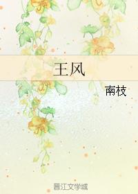 小说：王风，作者：南枝