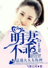 小说：萌妻不乖，总裁大人太伤神，作者：飞象过河