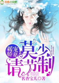 小说：暖宠娇妻：莫少请节制！，作者：茗香宝儿