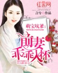 小说：萌宝坑爹：前妻乖乖入怀，作者：言兮