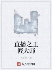 小说：直播之工匠大师，作者：九个栗子