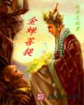 小说：金蝉菩提，作者：北冥无极