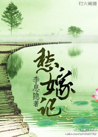 小说：愁嫁记，作者：李息隐