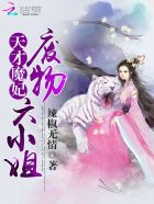 小说：天才魔妃：废物六小姐，作者：辣椒无情