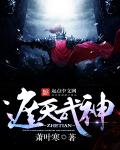 小说：遮天武神，作者：萧叶寒