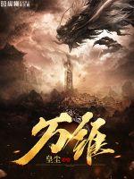 小说：万维，作者：皇尘