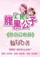 绝色召唤师:腹黑公子无良妾