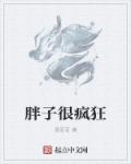 小说：胖子很疯狂，作者：黑哥哥