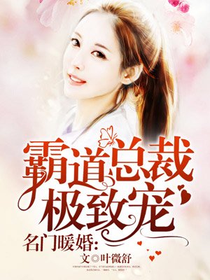 小说：名门暖婚：霸道总裁极致宠，作者：叶微舒