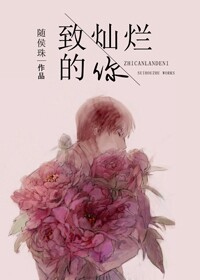 小说：致灿烂的你，作者：随侯珠