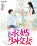 小说：独家宠妻之军妻别走，作者：云竹音