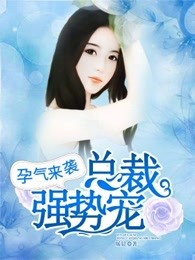 小说：孕气来袭：总裁强势宠，作者：暖晨