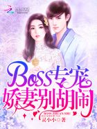 小说：BOSS专宠：娇妻别胡闹，作者：灵小小