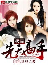 小说：极品先天高手，作者：白色豆豆
