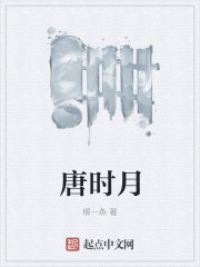 小说：唐时月，作者：柳一条