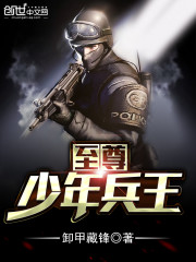 小说：至尊少年兵王，作者：卸甲藏锋