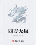 小说：四方无极，作者：好你个臭小子