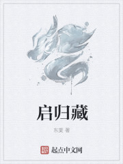 小说：易归藏，作者：东斐