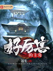 小说：好厉害的主角，作者：还宅