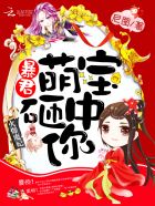 小说：火爆魔妃：暴君，萌宝砸中你！，作者：尼图