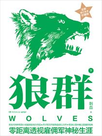 小说：狼群・下，作者：刺血
