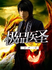 小说：极品医圣，作者：古声