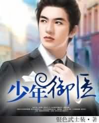 小说：少年御医，作者：银色武士装